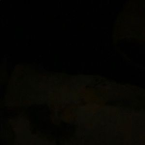 Meet your Posher, Holly